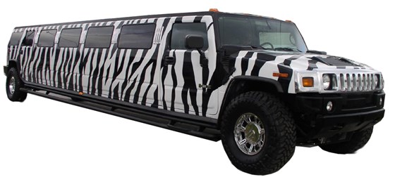 Airport Limousine: Jolly Shelton