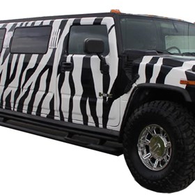 Airport Limousine: Jolly Shelton